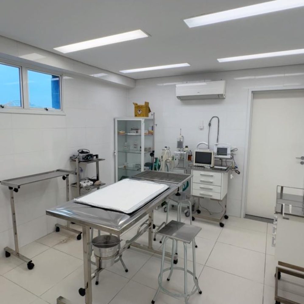 WhatsApp Image 2025-10-27 at 16.52.57 (2)